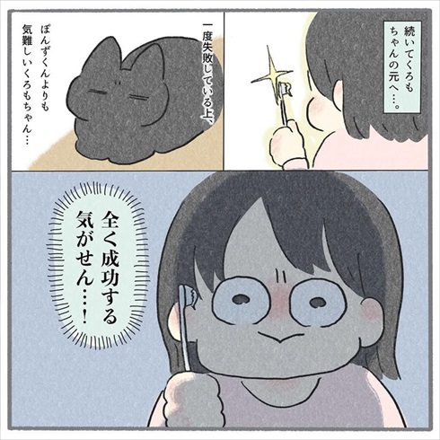 猫たちに歯みがきをしてみたら