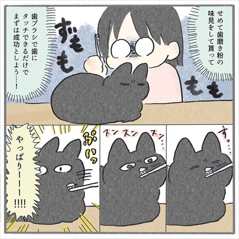 猫たちに歯みがきをしてみたら