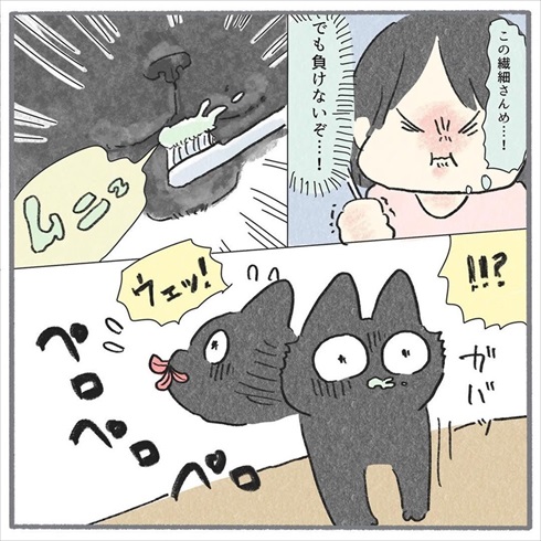 猫たちに歯みがきをしてみたら