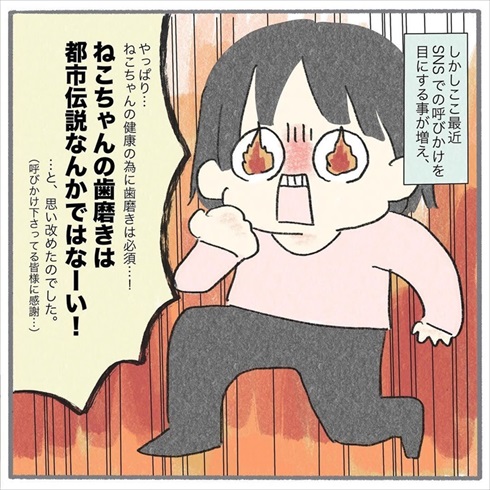 猫たちに歯みがきをしてみたら