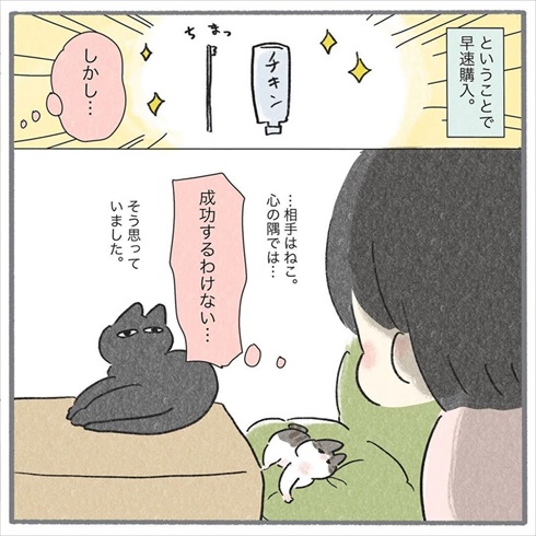 猫たちに歯みがきをしてみたら