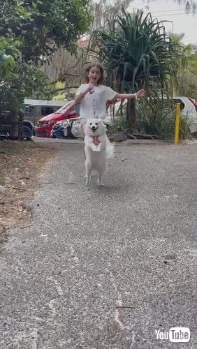 「Dog Hops On Their Back Feet While Running With Little Girl - 1263843」