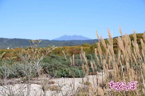 JR北海道 釧網本線