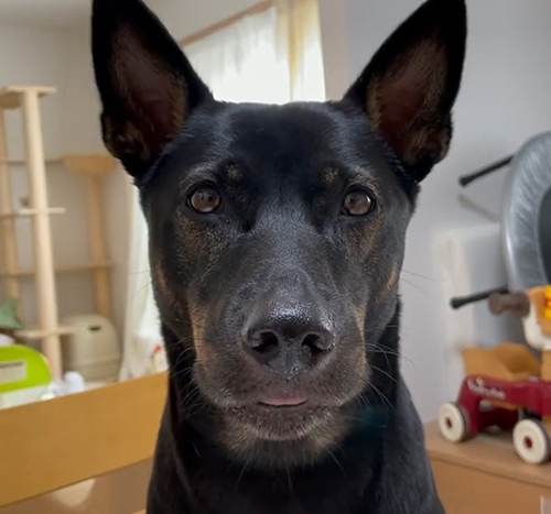 ちょっと口があいたマグちゃん