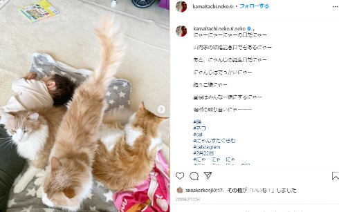 かまいたち 山内健司 濱家隆一 かまいたちの掟 ネットニュース