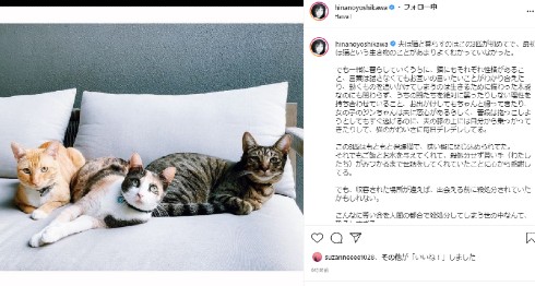 吉川ひなの ハワイ 移住 保護猫 オーガニック エシカル消費 ビーガン 環境保全 サスティナブル