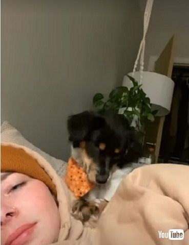 キスするワンコ