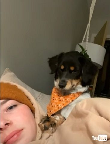 キスするワンコ