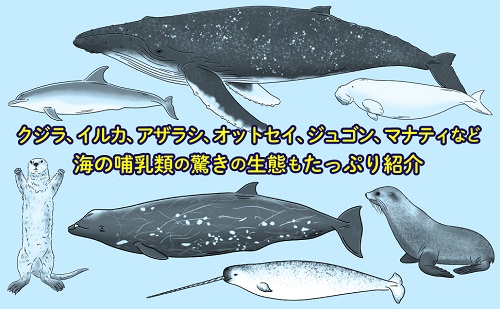 海獣学者