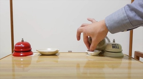 お姉ちゃんウサギのマネをする猫ちゃん