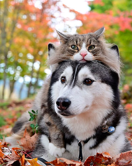 のの&Guri＋MOMOさん