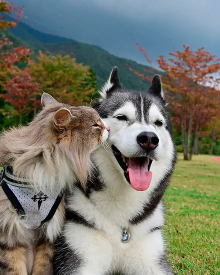 のの&Guri＋MOMOさん