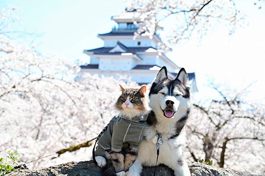 のの&Guri＋MOMOさん