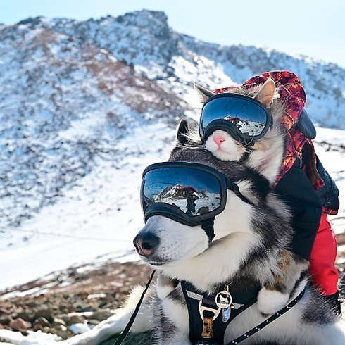 のの&Guri＋MOMOさん