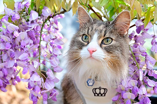 のの&Guri＋MOMOさん