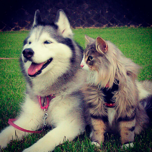 のの&Guri＋MOMOさん