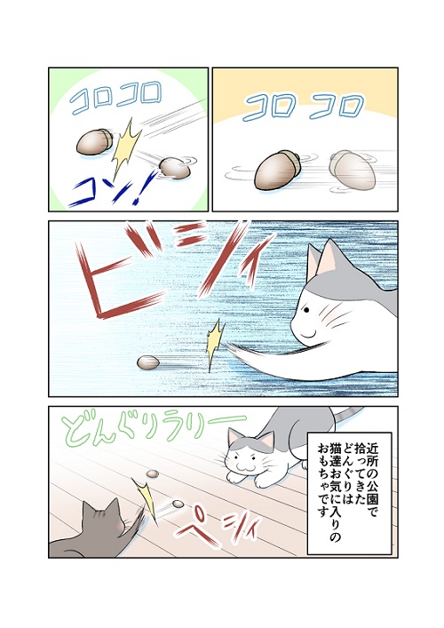 浮気を疑う猫