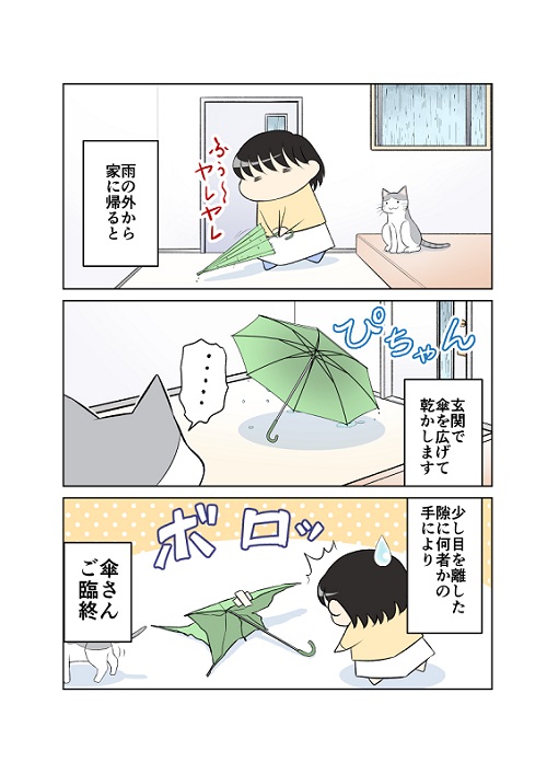 浮気を疑う猫