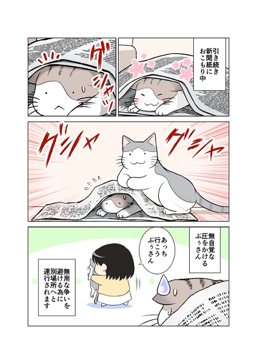 浮気を疑う猫
