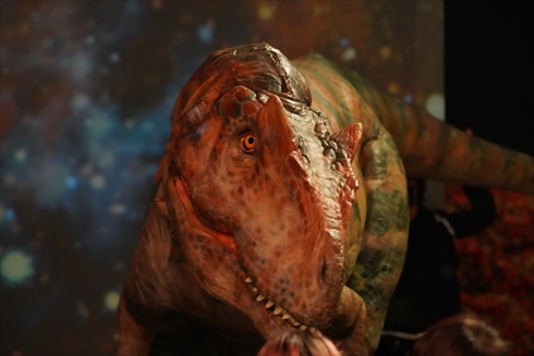 ディノアライブ DINO-A-LIVE 恐竜