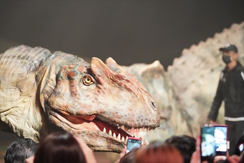 ディノアライブ DINO-A-LIVE 恐竜