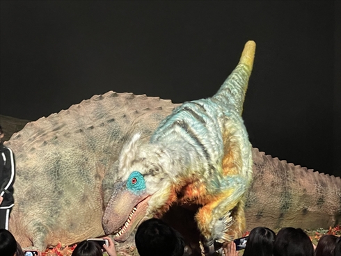 ディノアライブ DINO-A-LIVE 恐竜