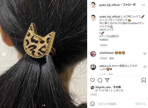 藤あや子 ヒョウ柄 猫 髪留め