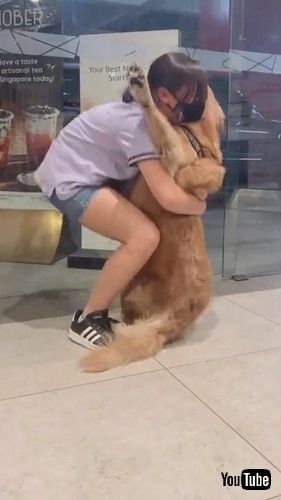 「Dog Has to Be Carried Down Escalator || ViralHog」