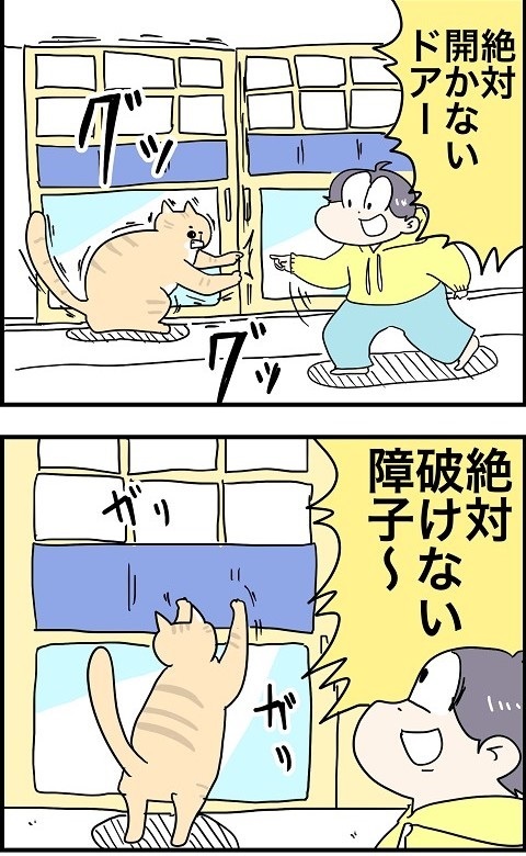 パワフルな猫ちゃん