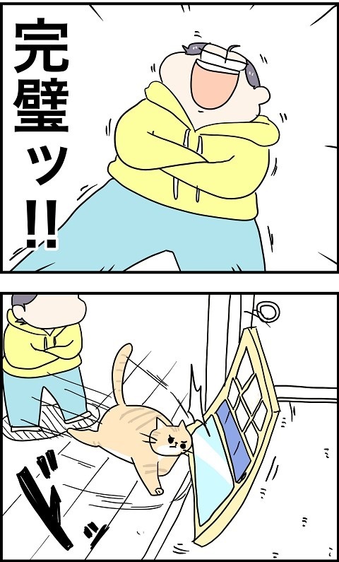パワフルな猫ちゃん