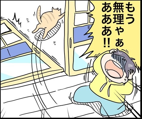 パワフルな猫ちゃん