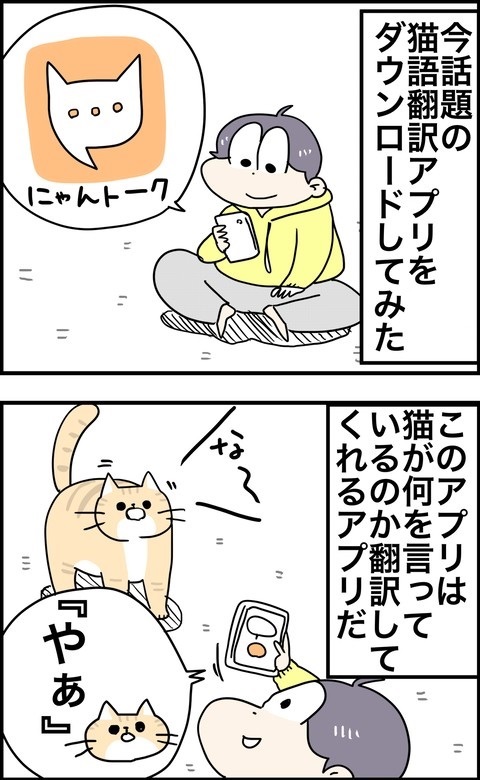 パワフルな猫ちゃん