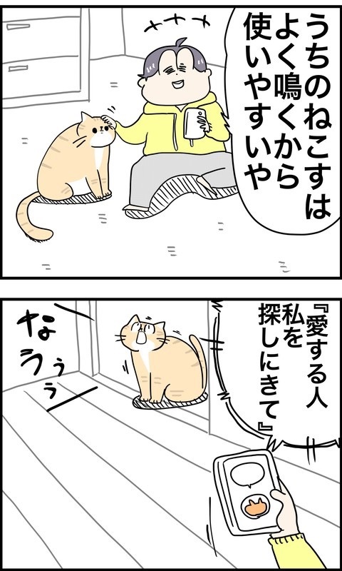 パワフルな猫ちゃん