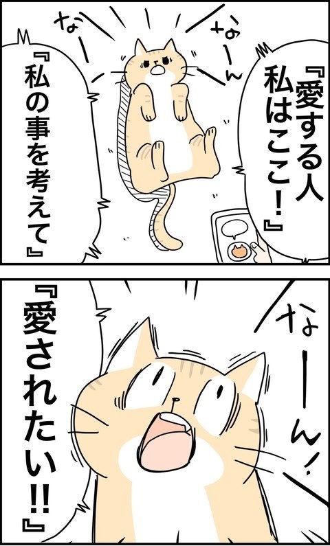 パワフルな猫ちゃん