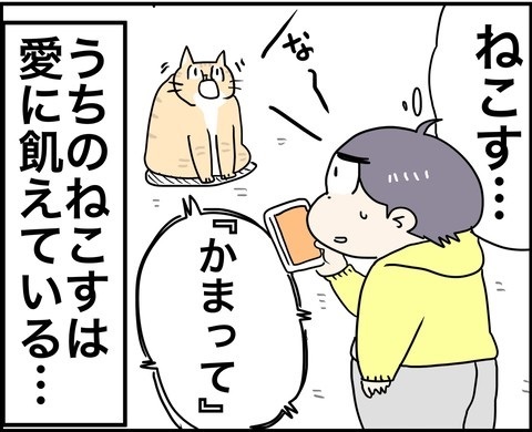 パワフルな猫ちゃん