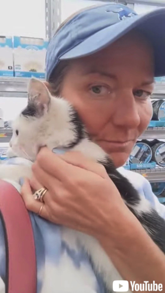 買い物客の女性に保護される子猫