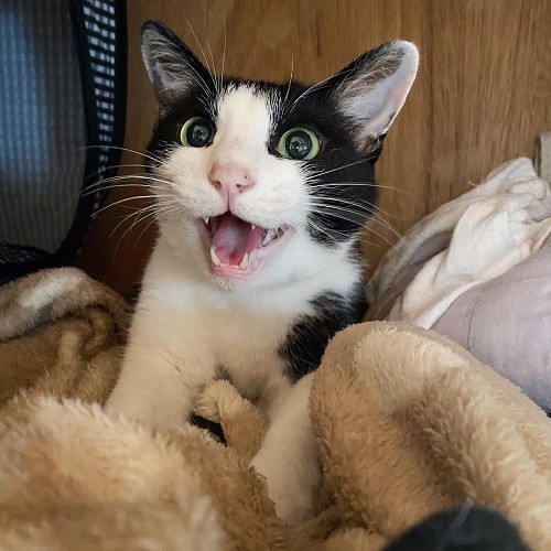 まるくん顔アップ