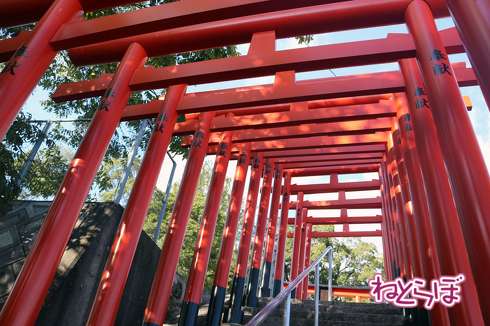 広島10円きっぷ