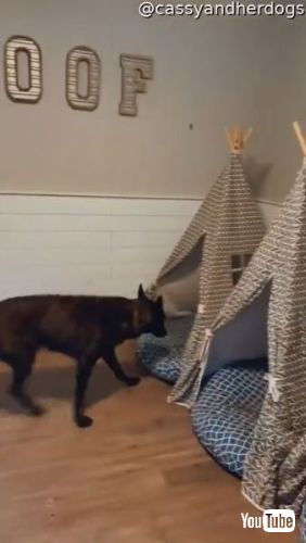 Go to Their Tee Pee Beds