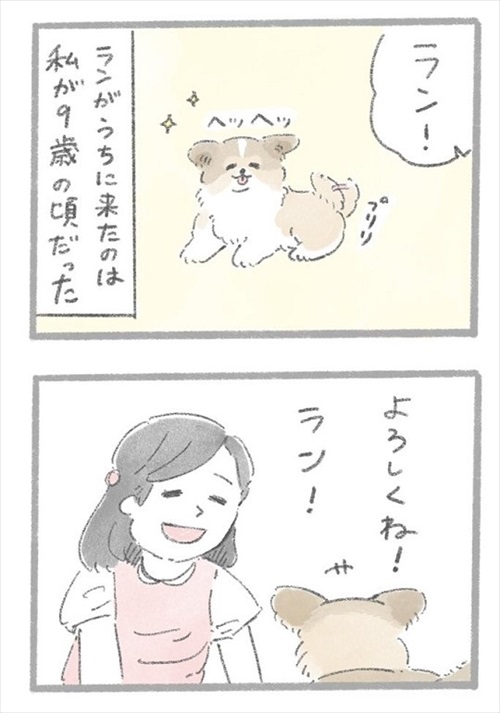 あるおいぬのお話