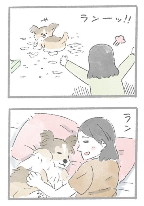 あるおいぬのお話