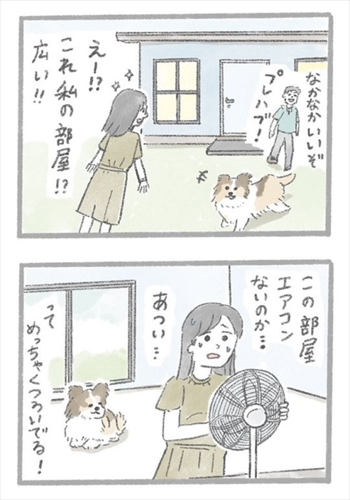 あるおいぬのお話