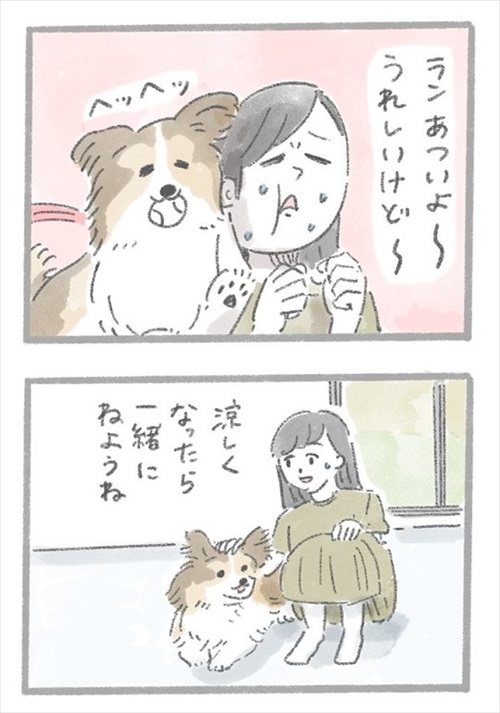 あるおいぬのお話