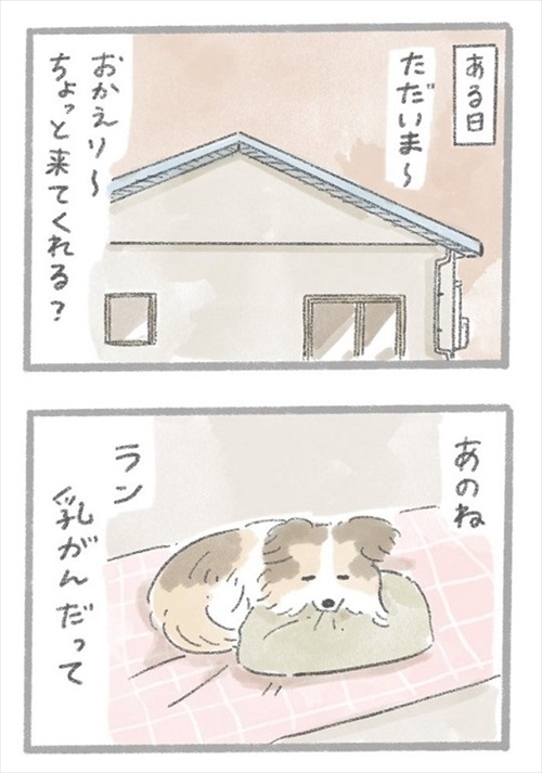 あるおいぬのお話