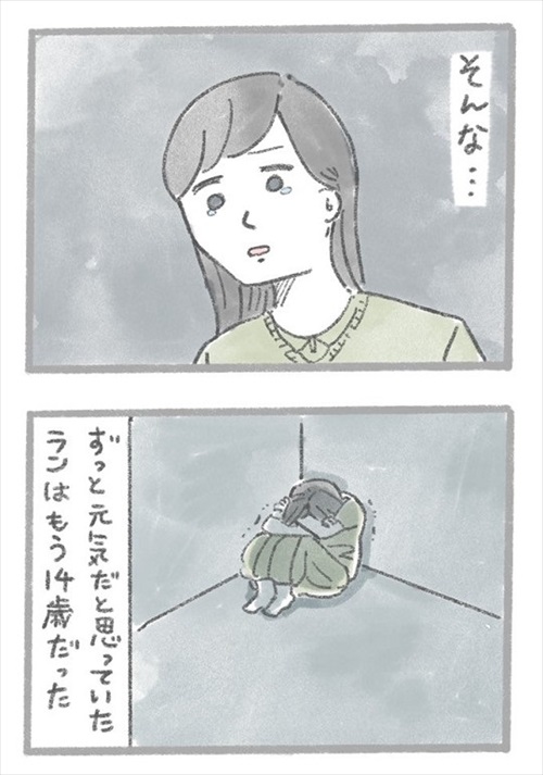 あるおいぬのお話