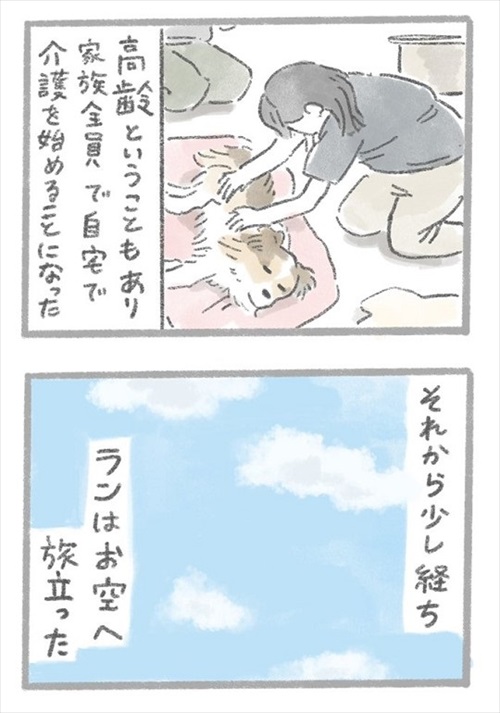 あるおいぬのお話