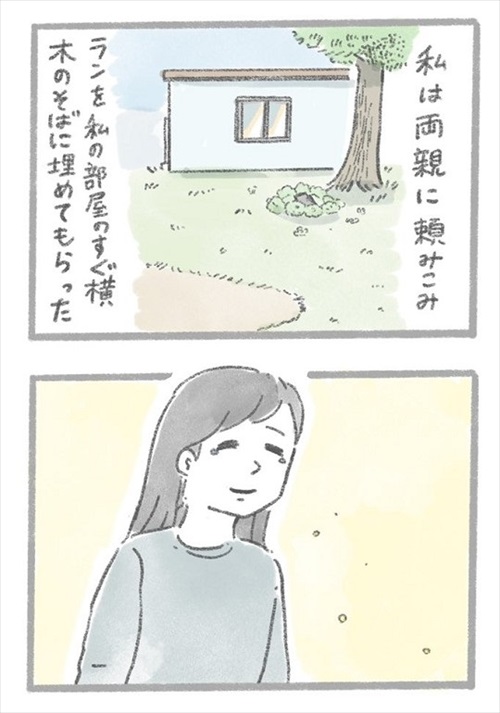 あるおいぬのお話