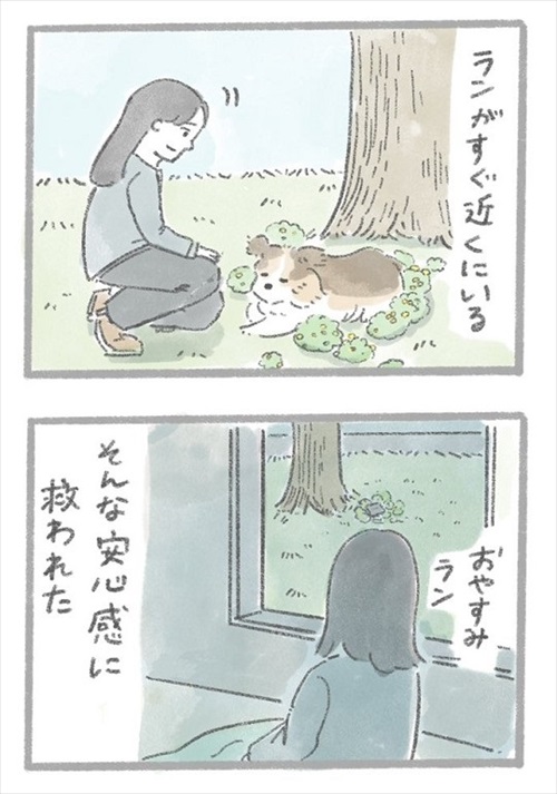 あるおいぬのお話