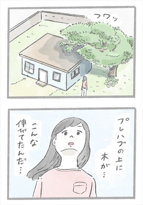 あるおいぬのお話