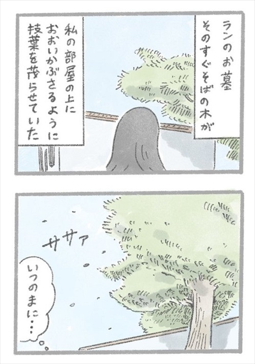 あるおいぬのお話